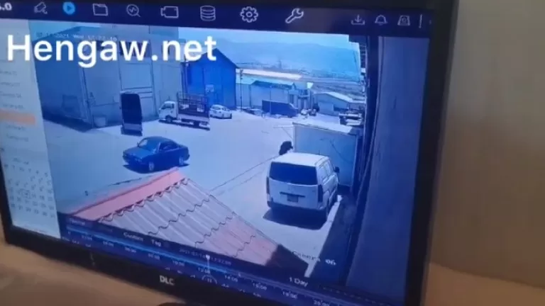 Çalakvanekî Rojhilatî hate kuştin