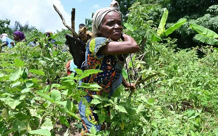 NY: Sala 2020 ji ber Coronayê 124 milyon kes hejar bûne