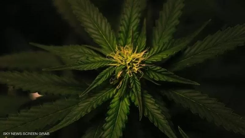 دراسة تكشف مفاجأة.. متى وأين بدأ تدخين 