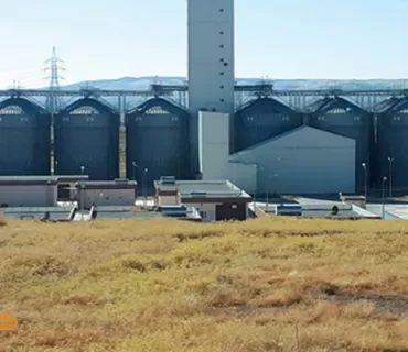 وشكەساڵی زیانی گەورەی بە گەنمی جووتیاران گەیاندووە