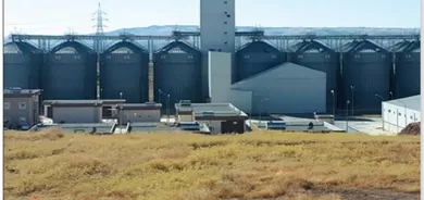 وشكەساڵی زیانی گەورەی بە گەنمی جووتیاران گەیاندووە