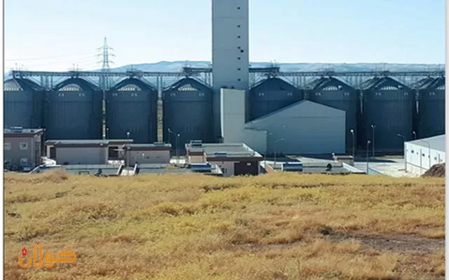 وشكەساڵی زیانی گەورەی بە گەنمی جووتیاران گەیاندووە