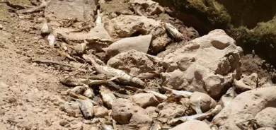 Çemê Bazamîrê li Şirnexê hişk bûye