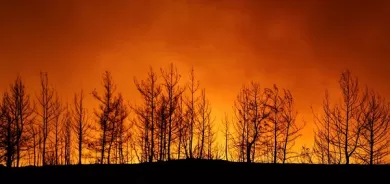 Four killed as wildfires sweep Turkey, villages evacuated