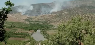 9 miliyar dînar zirar gehêştiye Cotkaran