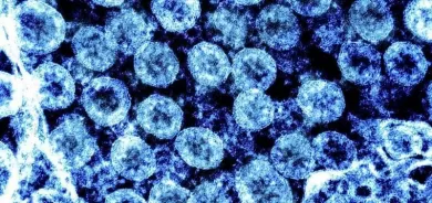 أميركا تحذر من السفر إلى هذه الدول لارتفاع إصابات كورونا