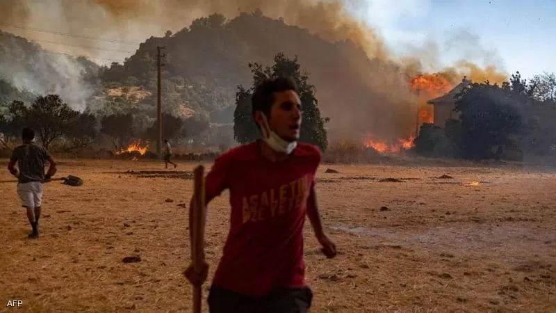 لم تخمد منذ أسبوع.. كيف تهدد الحرائق قصر أردوغان؟