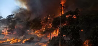 Soylu ziyanên agirê daristanan eşkere kir