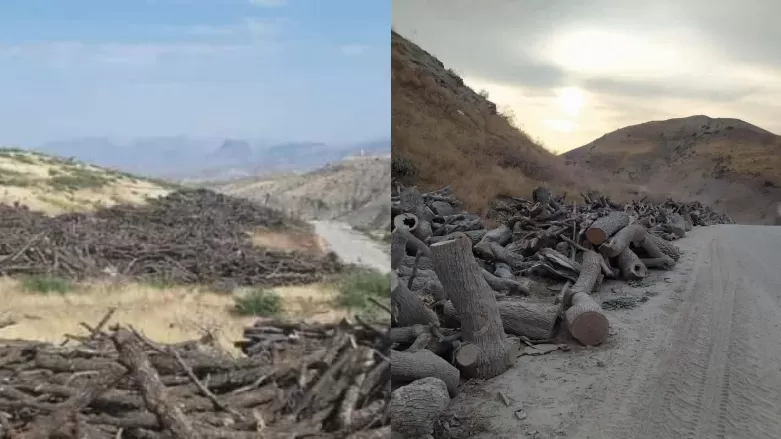 البرلمان العراقي يوجه بمتابعة قضية قطع الأشجار وتجريف الأراضي في اقليم كوردستان