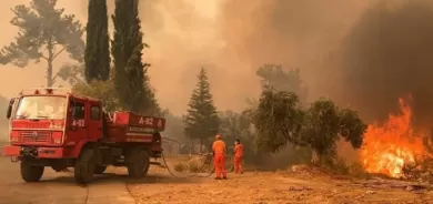 قتال PKK والجيش التركي يقضي على 50 ألف دونم من غابات دهوك