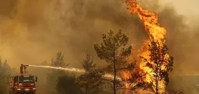 لەدوای كۆرۆنا ئاگری دارستانەكانی توركیا زیانی گەورەی بەئابووری ئەو وڵاتە گەیاند
