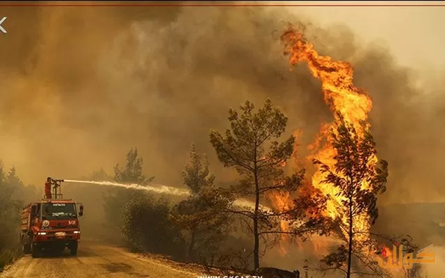 لەدوای كۆرۆنا ئاگری دارستانەكانی توركیا زیانی گەورەی بەئابووری ئەو وڵاتە گەیاند