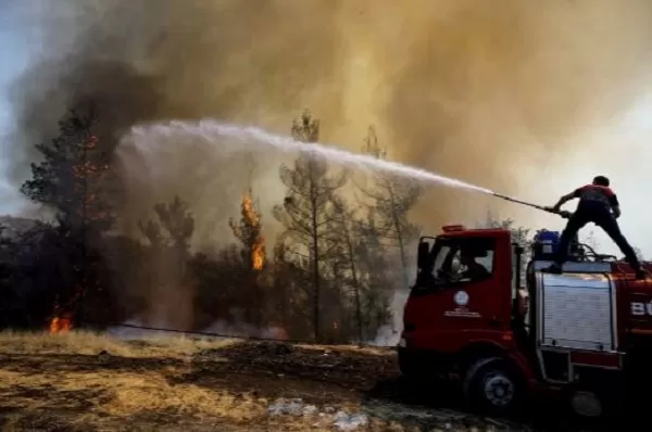 Turkey spent only fraction of forest protection budget before wildfires erupted