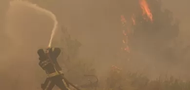 Erdogan: Ji 214 şewatên daristanan 202 şewat hatin kontrolkirin