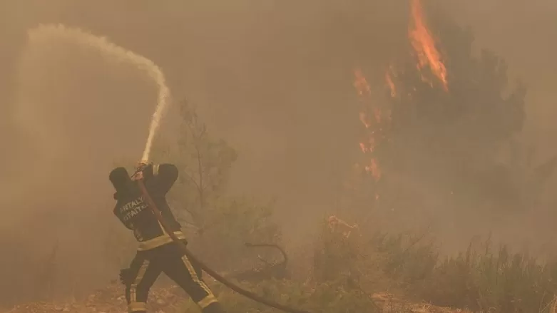 Erdogan: Ji 214 şewatên daristanan 202 şewat hatin kontrolkirin