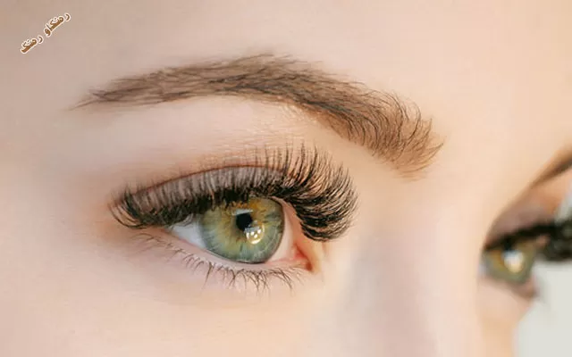 برژانگی درێژ جوانیی ڕوخسارە