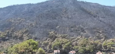 Turkish wildfires finally under control as nation assesses damage