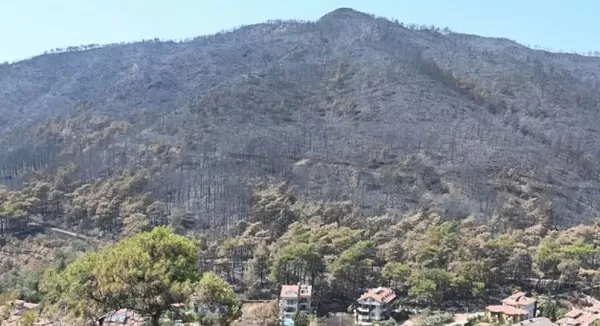 Turkish wildfires finally under control as nation assesses damage