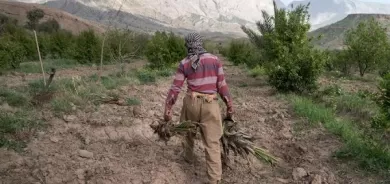 Tensions rise as Iranian dams cut off Iraqi water supplies