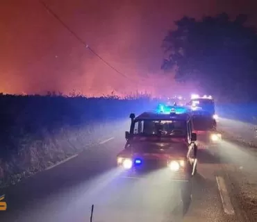 زانایەك هۆكاری ئاگركەوتنەوەی دارستانەكان ئاشكرا دەكات