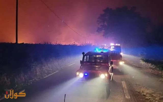 زانایەك هۆكاری ئاگركەوتنەوەی دارستانەكان ئاشكرا دەكات