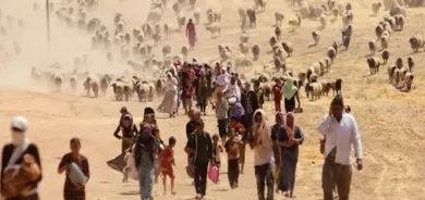 Nûnera Neteweyên Yekbûyî li ser bombebarana Şingalê daxuyanî da