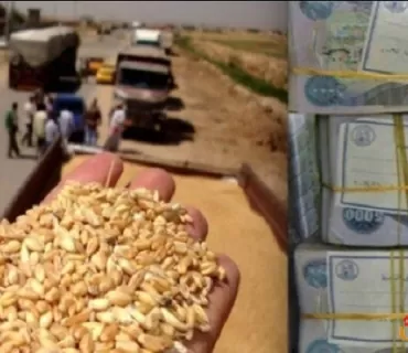 پارەی گەنمی جوتیاران دابەش كرا