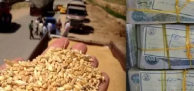 پارەی گەنمی جوتیاران دابەش كرا