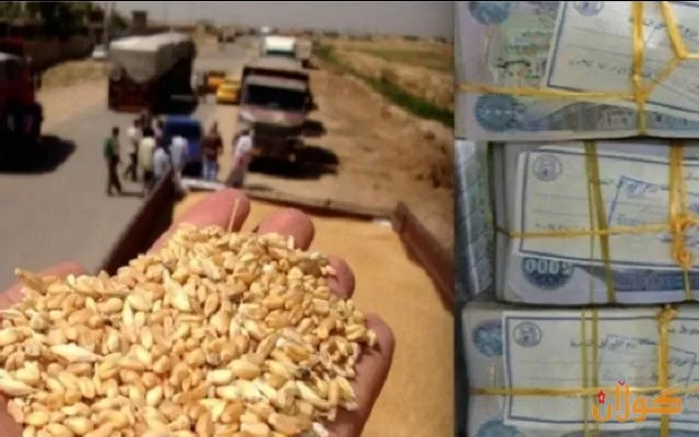 پارەی گەنمی جوتیاران دابەش كرا