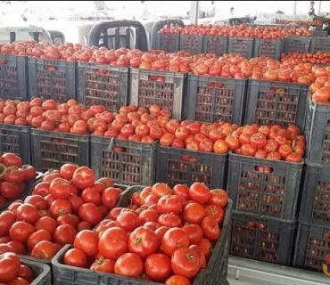 نرخی به‌رهه‌مه‌ كشتوكاڵیه‌كان به‌رزده‌بیته‌وه‌