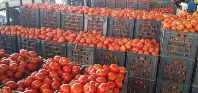 نرخی به‌رهه‌مه‌ كشتوكاڵیه‌كان به‌رزده‌بیته‌وه‌