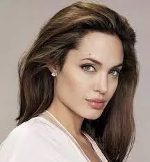 أنجيلينا جولي تحقق رقماً قياسياً على إنستغرام