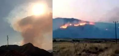 11 roj in agirê li daristanên Dêrsimê berdewam e