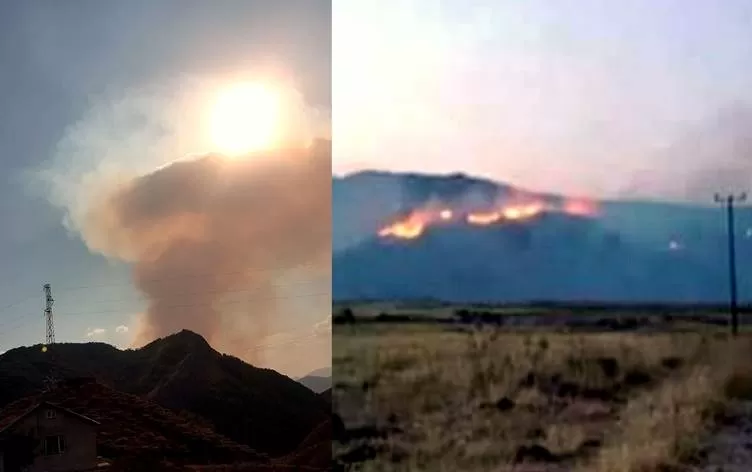 11 roj in agirê li daristanên Dêrsimê berdewam e