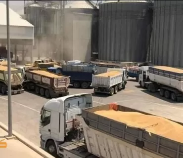 دەست كرا بەدابەشكردنی بەشێكی پارەی گەنمی ئەمساڵی جووتیارانی كوردستان