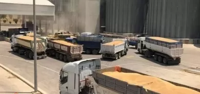 دەست كرا بەدابەشكردنی بەشێكی پارەی گەنمی ئەمساڵی جووتیارانی كوردستان