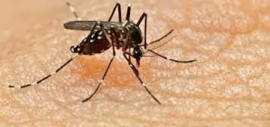 هل ينجذب إليك البعوض أكثر من غيرك؟ اليك الأسباب