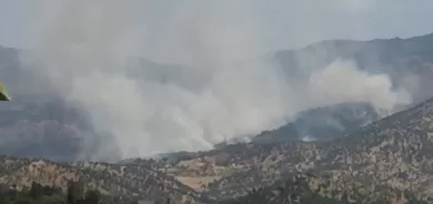 Îran navçeyên sînorî yên Herêma Kurdistanê topbaran dike