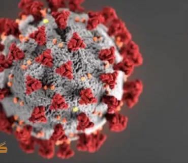 ژمارەی تووشبووانى كۆرۆنا لە هەرێم بە شێوەیەكی بەرچاو دابەزی