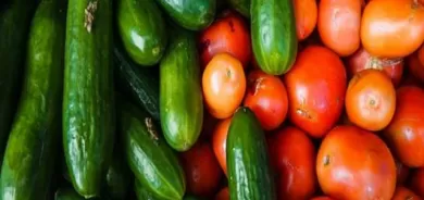 باج لەسەر ئەم بەرهەمانە لادەبرێت