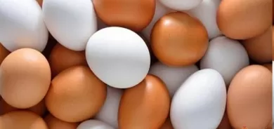 عێراق دەستی بەهاوردەكردنی هێڵكە كردوو چاوەڕوان دەكرێت لەبازاڕەكانی كوردستانیشدا نرخی هێلكە كەم بێتەوە