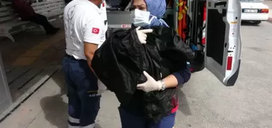 Pitikek bi saxî hat binaxkirin