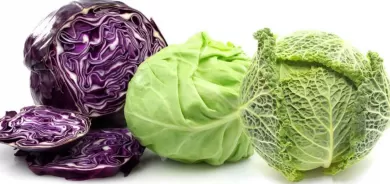 الملفوف يحارب السرطان ويطيل العمر