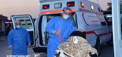 Li Herêma Kurdistanê 1401 kesên din bi Koronayê ketin