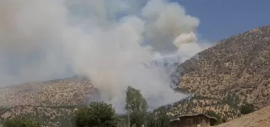 Balefirên Tirkiyeyê çiyayê Helgordê bordiman kirin