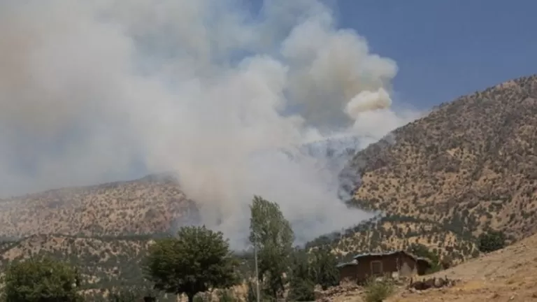 Balefirên Tirkiyeyê çiyayê Helgordê bordiman kirin