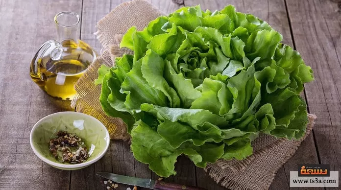 فوائد غير متوقعة لزيت الخس