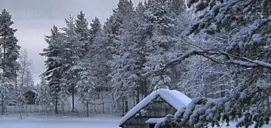 نصائح ذهبية للنجاة من مخاطر الشتاء