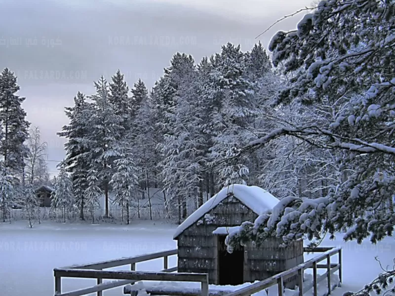 نصائح ذهبية للنجاة من مخاطر الشتاء