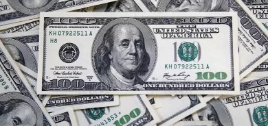 Li Tirkiyê dolar gihîşt asta dîrokî